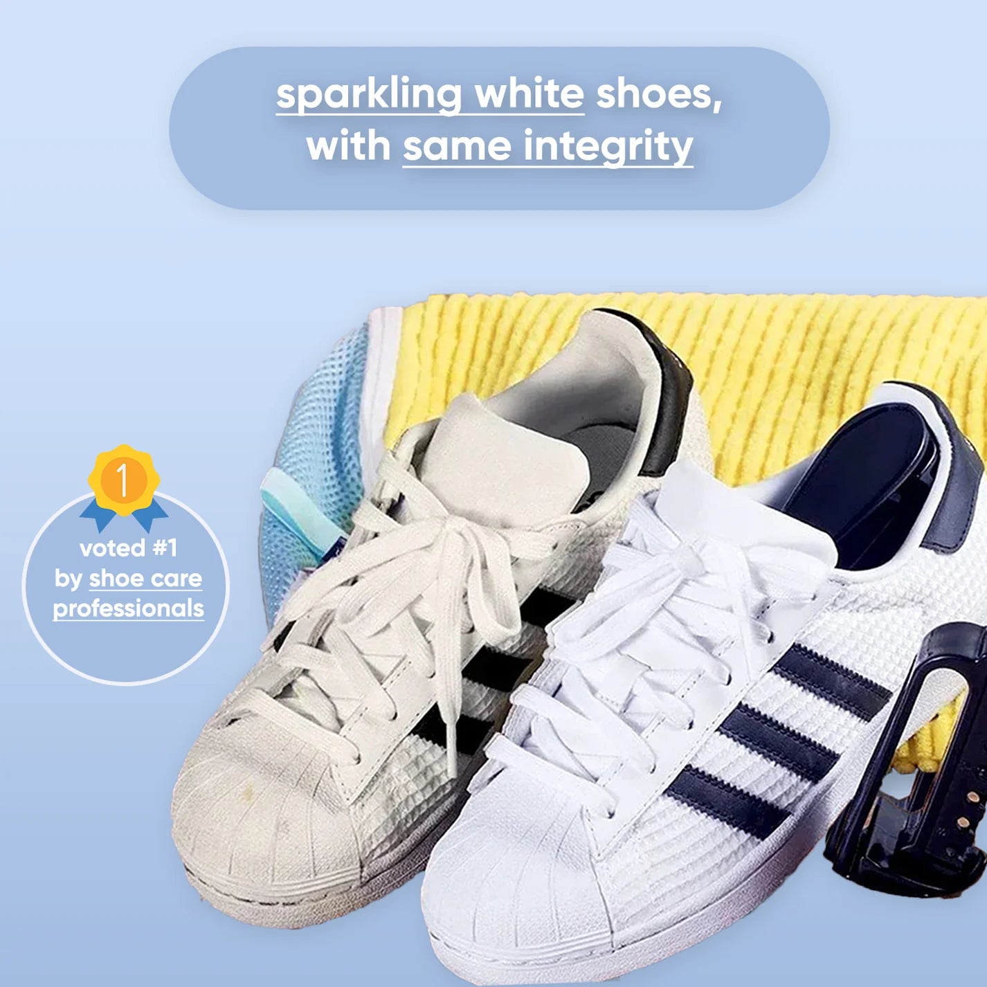 LaundryPro Shoe Bag