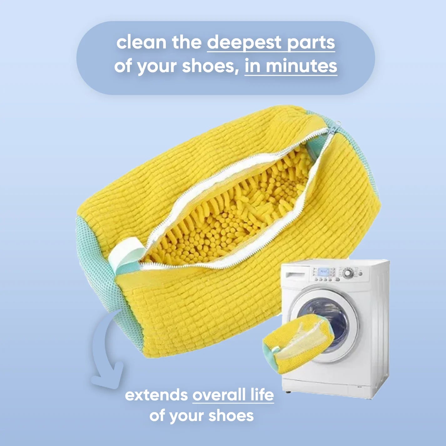 LaundryPro Shoe Bag