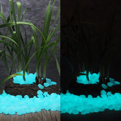 SweetHome™ Glow In The Dark Pebbles