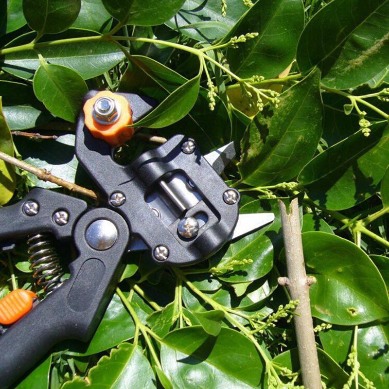 GardenPro™ Grafting Kit