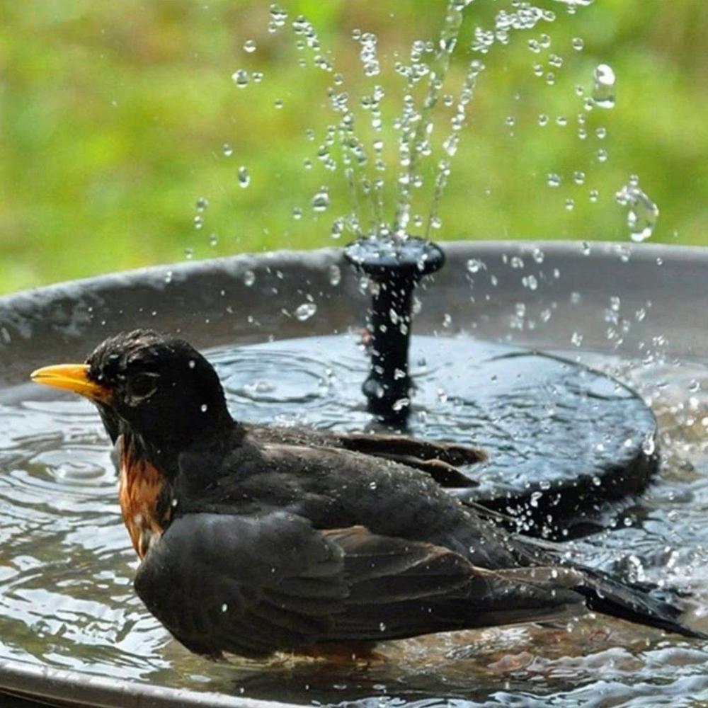 Solar-Powered Water Fountain