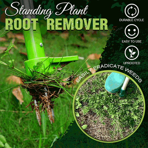 Standing Plant Root Remover – UpLifeshop™